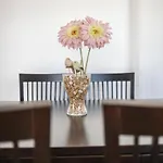 Apartamento La Higuera 4